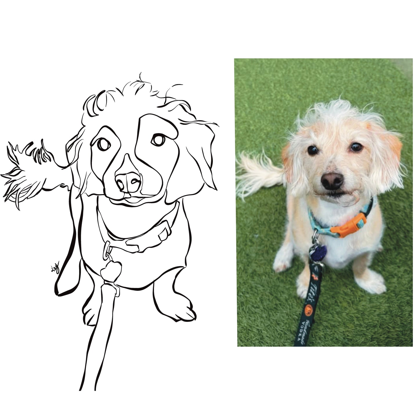 Your Pet as Line Art