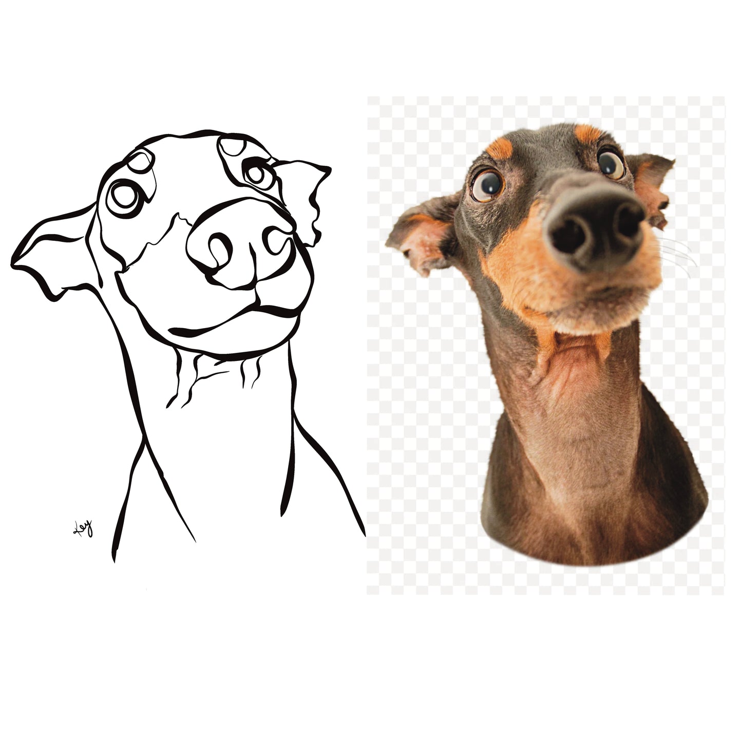 Your Pet as Line Art